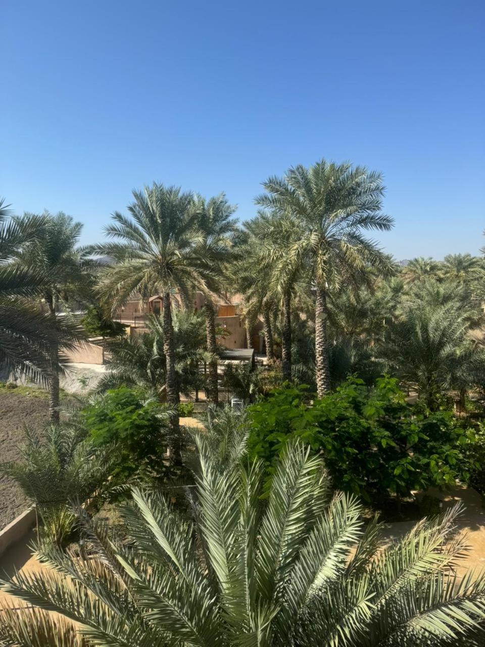 Jawharat Alaqar Inn نزل جوهرة العقر Nizwa Esterno foto